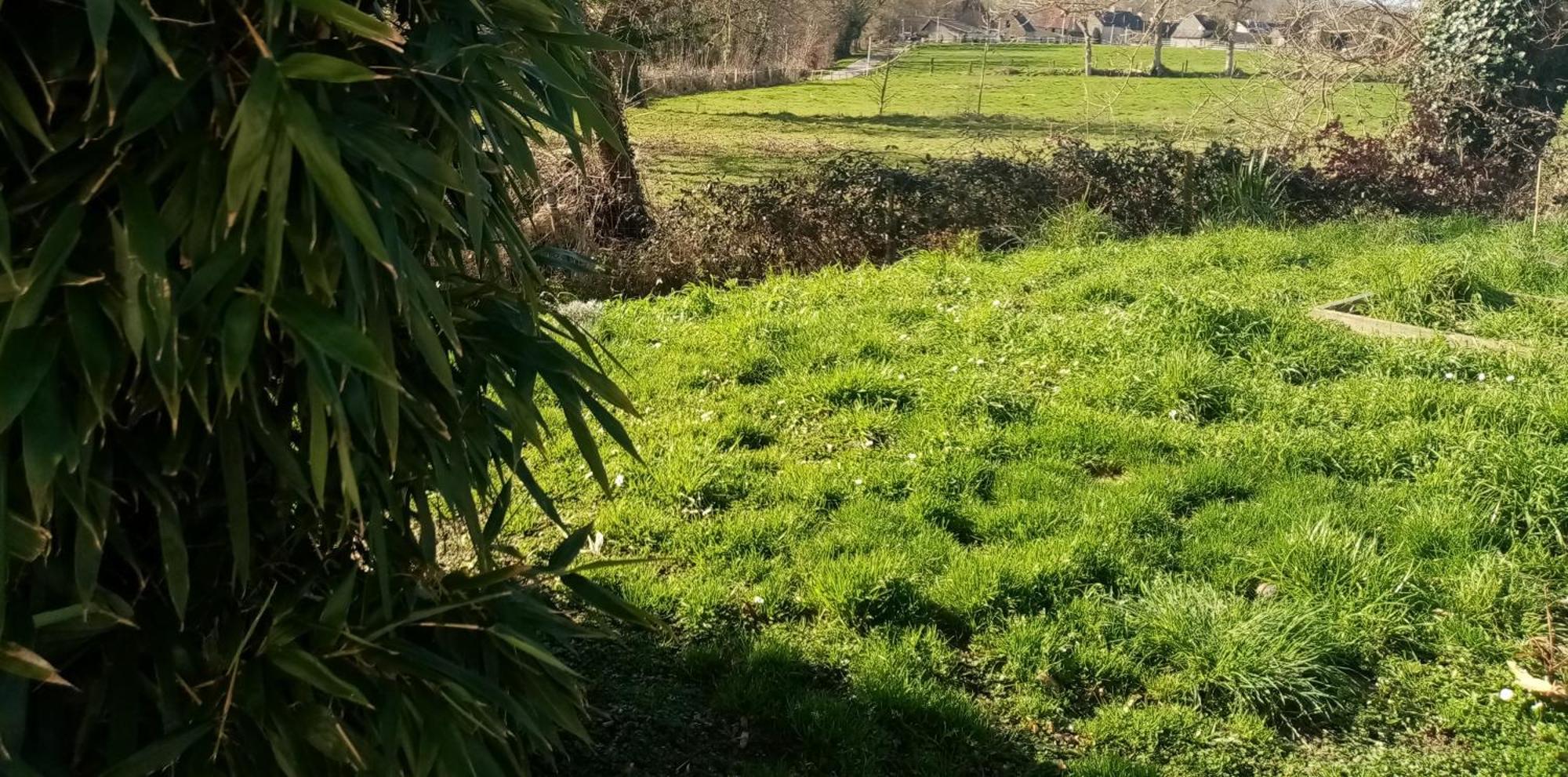 La Campagne Au Bord De La Mer, Chambre Chez L'Habitant Champeaux Exterior foto